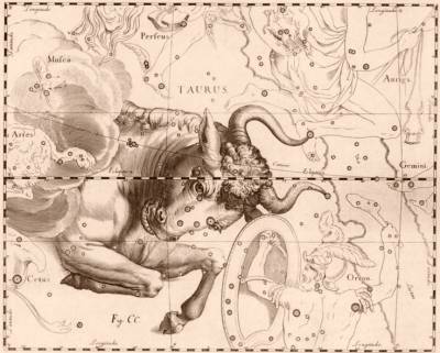 Earthlore Explorations Lore of Astrology: Taurus - The constellation Taurus drawn by Johannes Hevelius