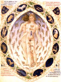 Earthlore Explorações- Narrativas da Astrologia - Correspondências Astrológicas no corpo humano