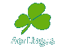 Aer Lingus - The Official Airline of Irish Culture